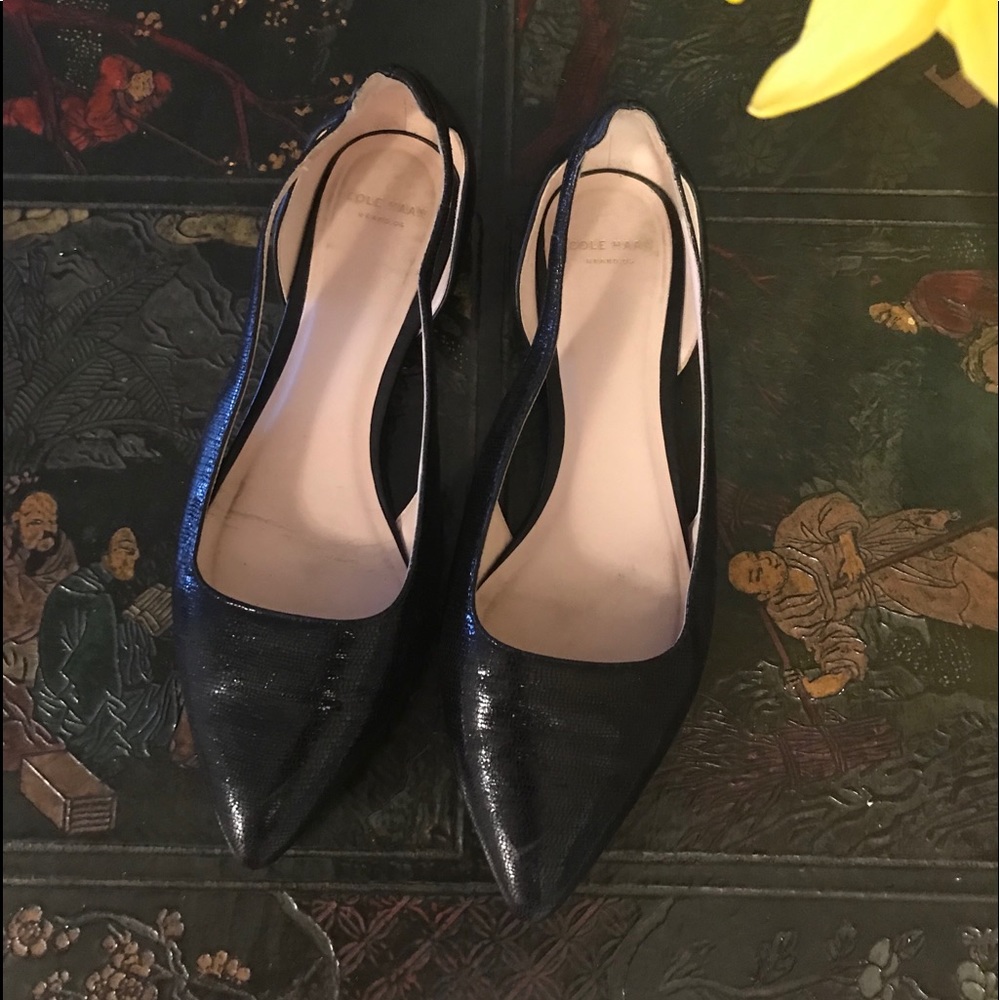 Cole Haan Skimmer Ballet Leather Flats